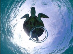 プランの魅力 条件が重なればこんな写真も！！ の画像