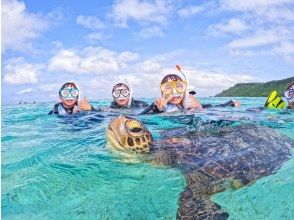 プランの魅力 顔がかわいいんだ～～！！ の画像