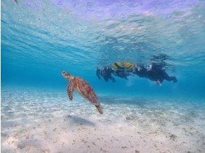 プランの魅力 綺麗な海が貸し切り状態～～！ の画像