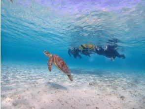 プランの魅力 綺麗な海が貸し切り状態～～！ の画像