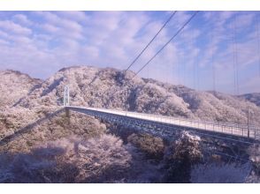 プランの魅力 Ryujin Suspension Bridge の画像