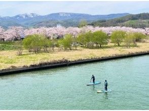 プランの魅力 終生難忘的照片 の画像