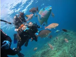 プランの魅力 Underwater walk♪ の画像