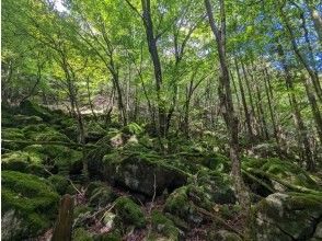 プランの魅力 都市から近いのに静かな森 の画像