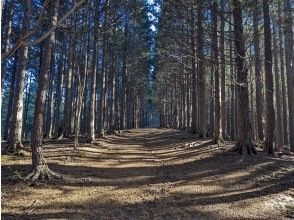 プランの魅力 初心者歓迎のハイキングコース の画像