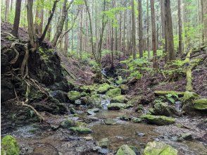 プランの魅力 こんなきれいな沢も の画像