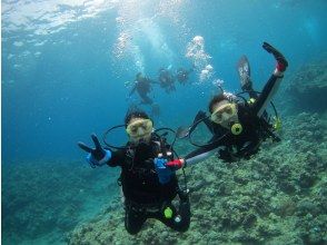 プランの魅力 水下漫步♪ の画像