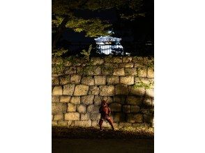 プランの魅力 Even though the sun should have set, I was looking at Osaka Castle at night, where flowers seemed to be blooming. の画像