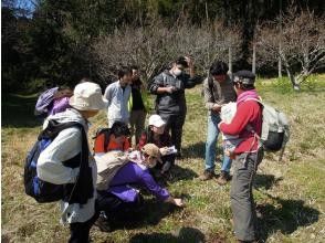 プランの魅力 房総半島の水脈に沿った脱力散策ツアー！ の画像