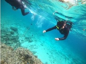 プランの魅力  の画像