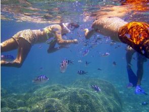 プランの魅力  の画像