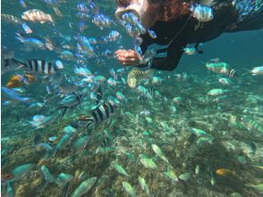 プランの魅力  の画像