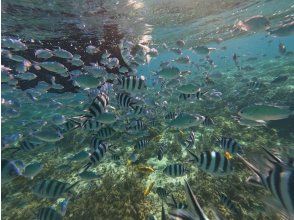 プランの魅力  の画像