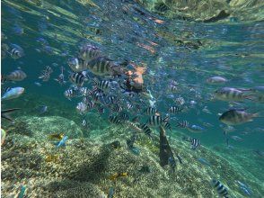 プランの魅力  の画像