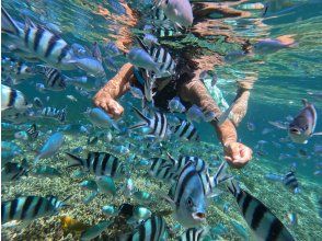 プランの魅力  の画像