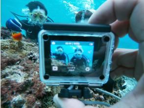 プランの魅力 diving underwater photography の画像