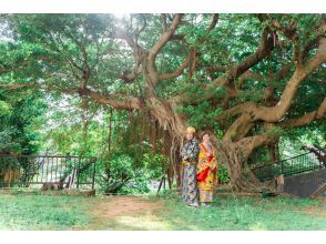 プランの魅力 国際通り近くのガジュマルの木の前で撮影 の画像