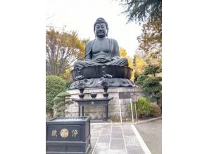 プランの魅力 Tokyo Great Buddha の画像