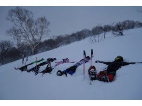 プランの魅力 森の中はパウダースノー天国！ の画像