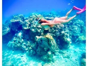 プランの魅力 The best snorkel experience at Secret Beach! の画像