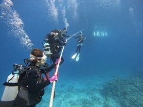 プランの魅力 ゆっくり潜っていくよー！ の画像