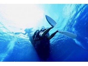 プランの魅力 新たな冒険の旅へ出かけよう！！ の画像