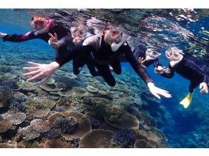 プランの魅力 珊瑚礁でシュノーケル！ の画像