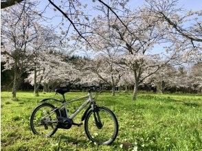 プランの魅力 Cherry blossom season has arrived! の画像