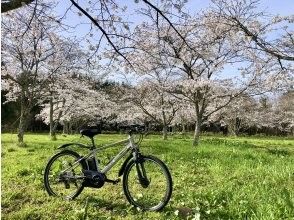 プランの魅力 벚꽃 시즌 도래! の画像