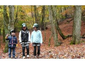 プランの魅力 大室山の紅葉 の画像