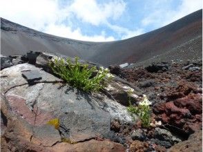 プランの魅力 There are still large volcanic bombs in the crater. の画像