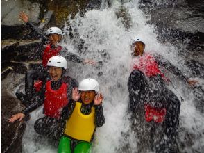 プランの魅力 スプラッシュ の画像