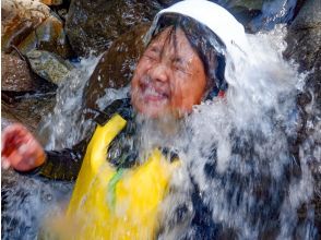 プランの魅力 浮上 の画像