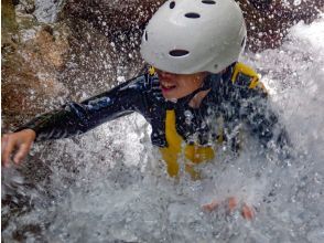 プランの魅力 Shower climbing の画像