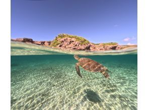 プランの魅力 We continue to have a 100% chance of encountering sea turtles! の画像