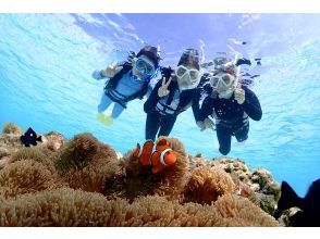 プランの魅力 天然水族館！ の画像