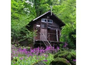 プランの魅力 Kyoto Kitayama Hiking の画像