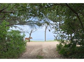 プランの魅力 名蔵湾浜辺 の画像