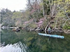 プランの魅力  の画像