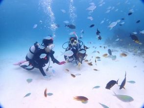 プランの魅力 Diving while surrounded by corals and fish ♪ の画像
