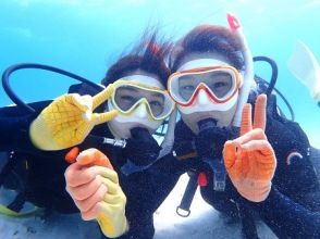 プランの魅力 We also help with underwater photography! の画像