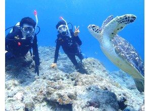 プランの魅力 Second dive! Diving in the afternoon looking for sea turtles♪ の画像