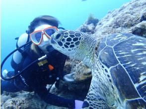 プランの魅力 ウミガメ遭遇率90％ の画像