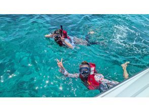 プランの魅力 エメラルドブルーの海で貸し切りシュノーケリング! の画像