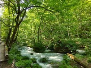 プランの魅力 国立公園内の奥入瀬渓流を堪能！ の画像