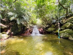 プランの魅力 ポイントは石垣島の北西部にある【荒川の滝】 の画像