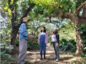 プランの魅力 您還可以享受末吉公園豐富的自然風光。 の画像