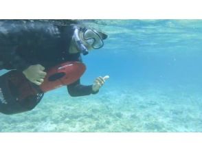 プランの魅力 sea scooter の画像