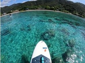 プランの魅力 サップで海の上をお散歩 の画像