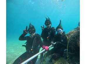 プランの魅力 This is recommended for those who are trying diving for the first time or those who are not confident in their swimming skills! の画像